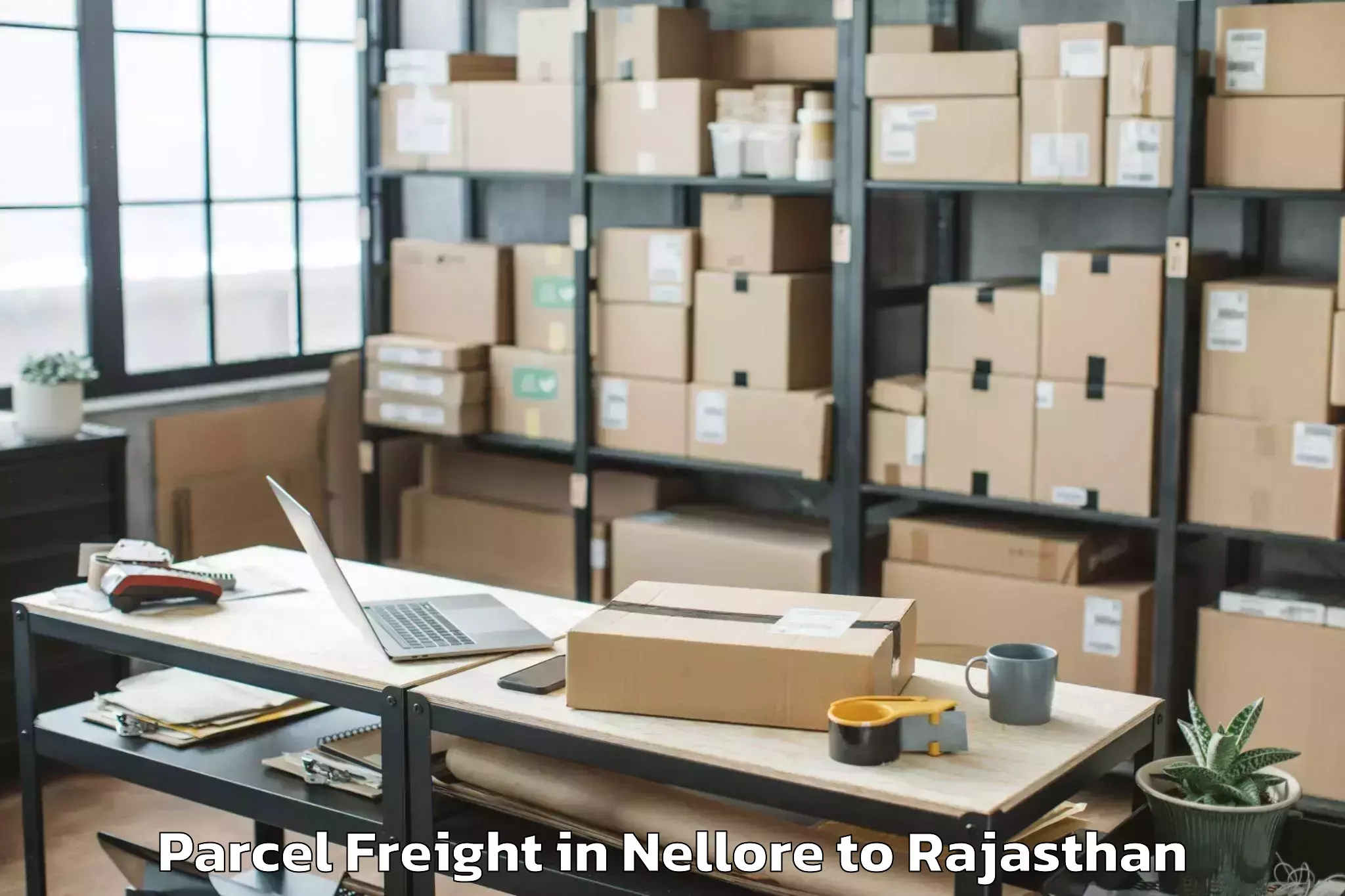 Easy Nellore to Jamwa Ramgarh Parcel Freight Booking